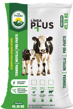 Alimento para ganado