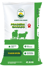 Alimento para ganado