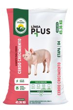 Alimento para cerdos