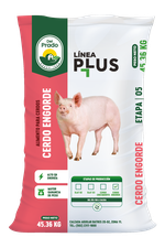 Alimento para cerdos