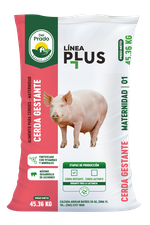 Alimento para cerdos