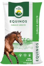 Alimento para equinos