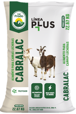 Alimento para cabras