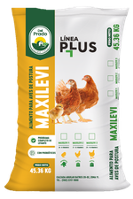 Alimento para aves-postura