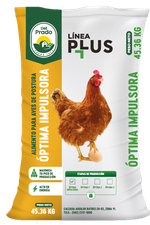 Alimento para aves-postura