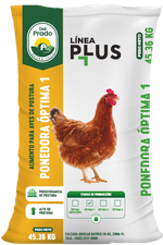 Alimento para aves-postura