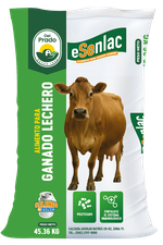 Alimento para ganado