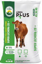 Alimento para ganado