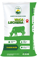 Alimento para ganado